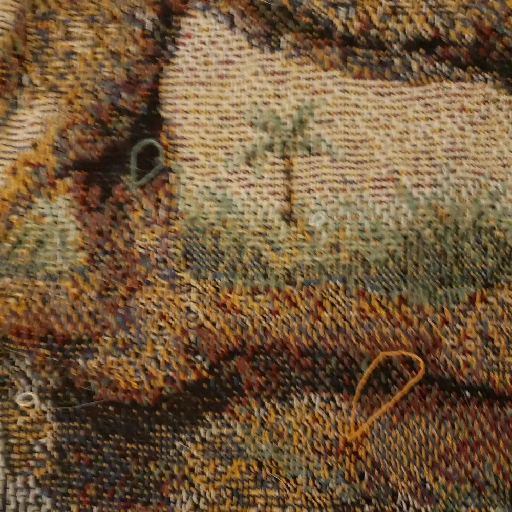 A Churchill Weaver Throw Blanket Tapestry Safari Design Fringes‎ Around